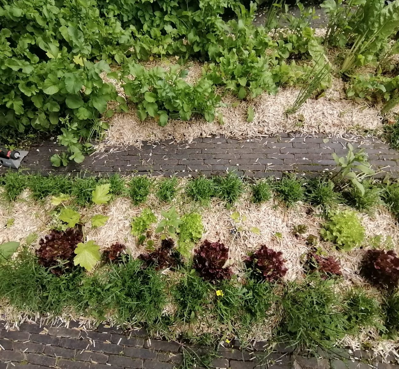 WhatsApp Image 2025-08-13 at 16.56.16