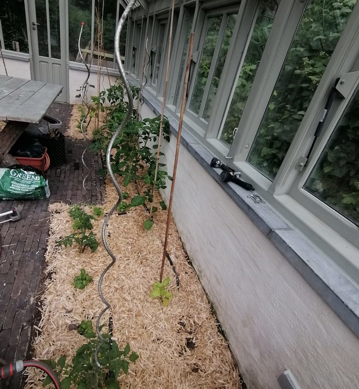 WhatsApp Image 2025-08-13 at 16.56.16 (2)