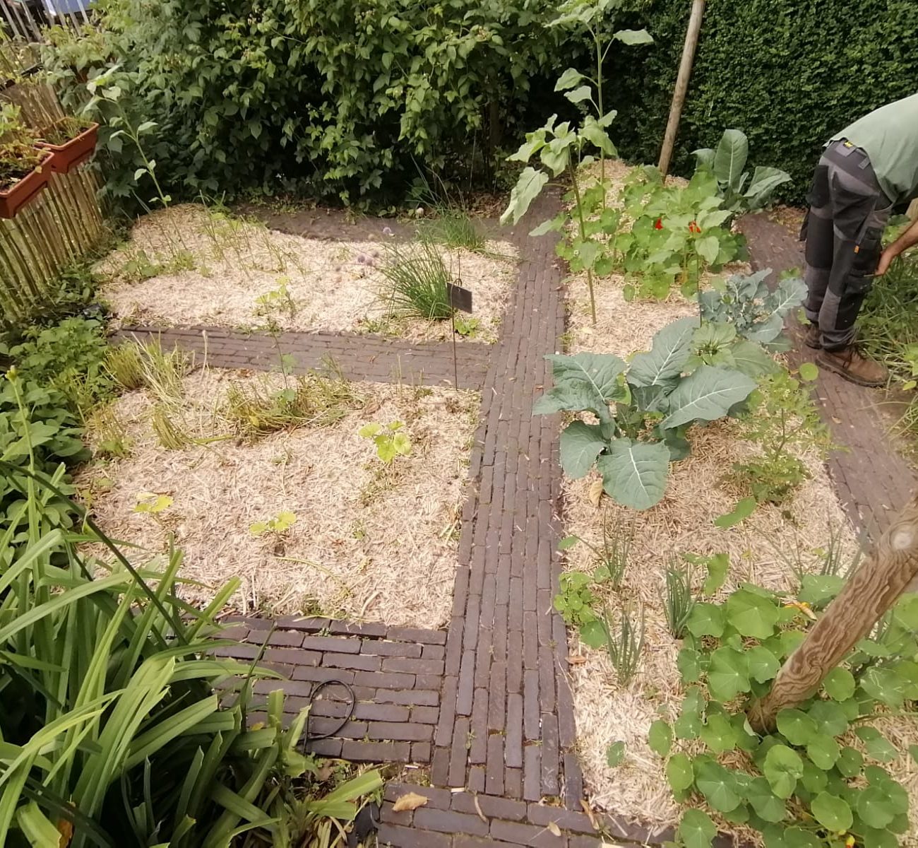 WhatsApp Image 2025-08-13 at 16.56.16 (3)