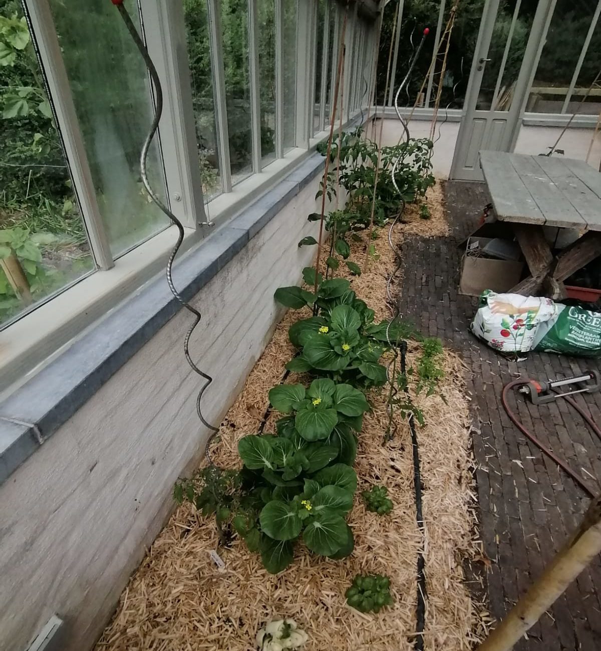 WhatsApp Image 2025-08-13 at 16.56.16 (4)