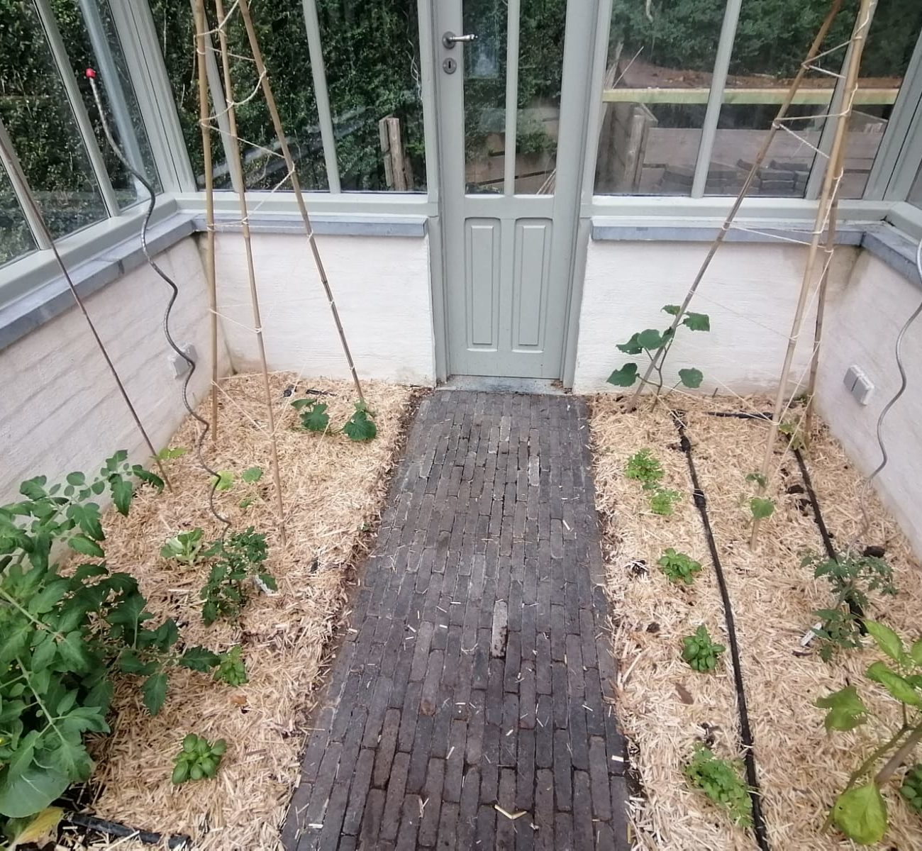 WhatsApp Image 2025-08-13 at 16.56.16 (5)