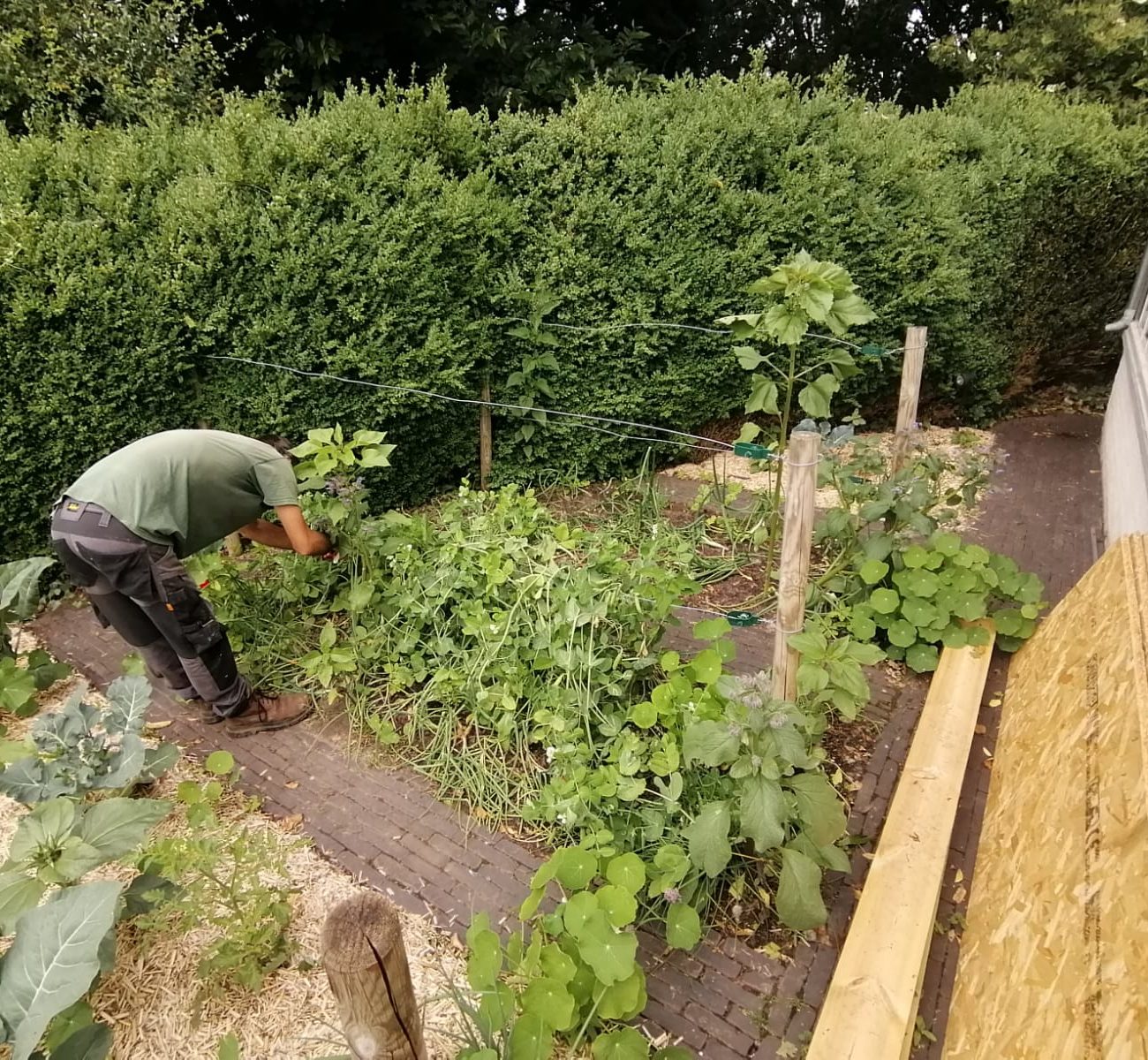 WhatsApp Image 2025-08-13 at 16.56.16 (6)