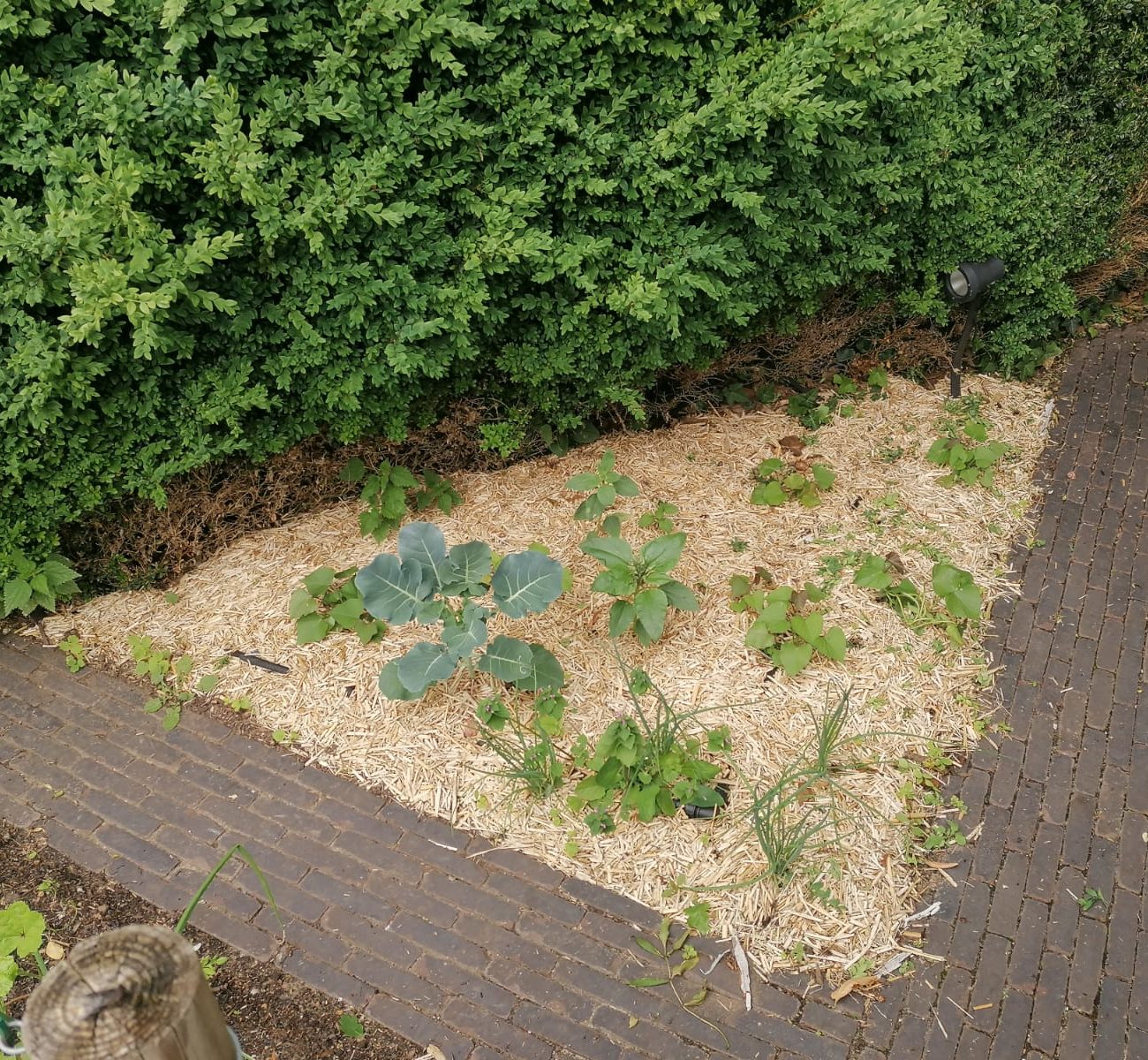 WhatsApp Image 2025-08-13 at 16.56.16 (7)