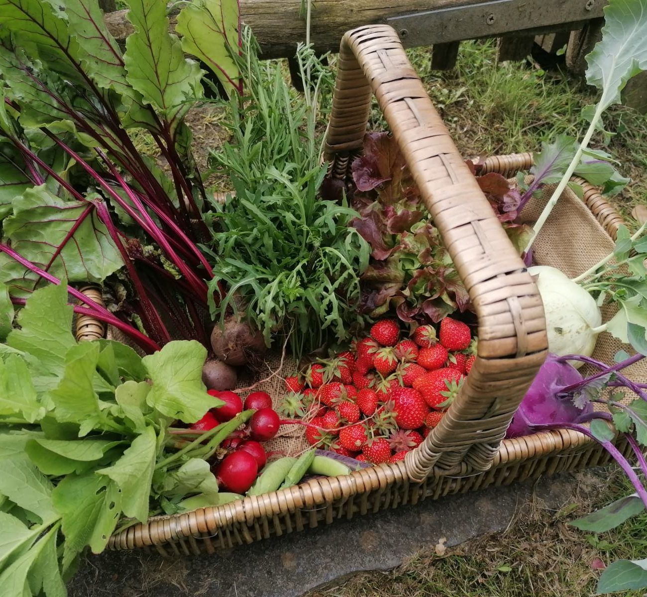 WhatsApp Image 2025-08-13 at 16.56.17