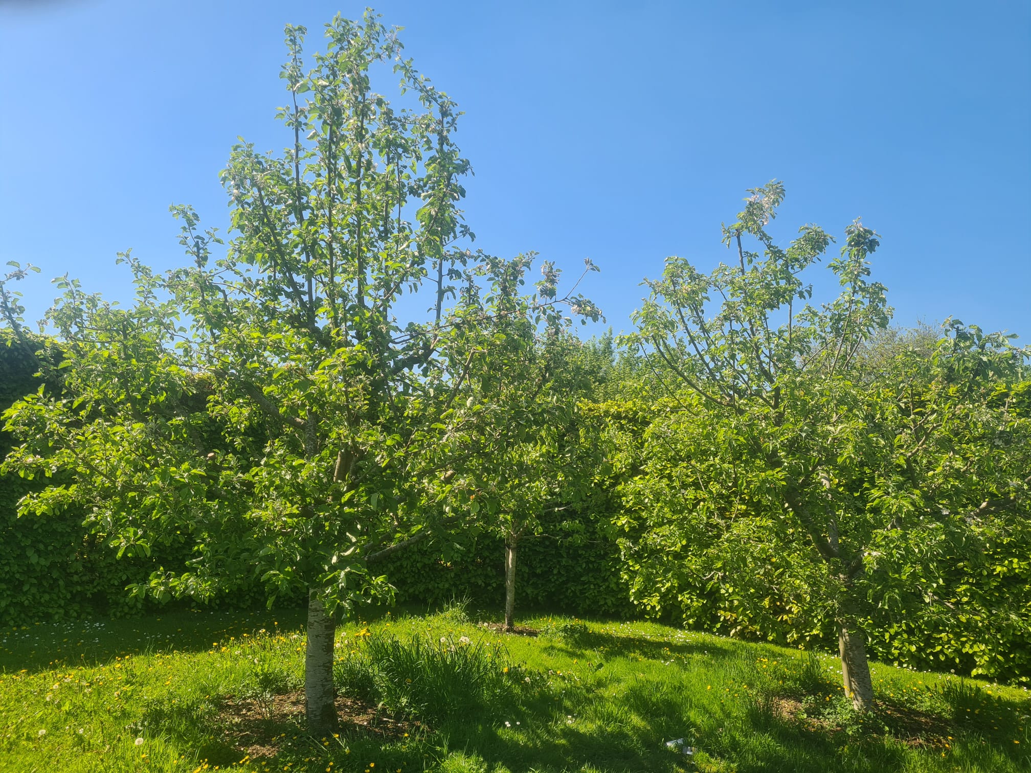 WhatsApp Image 2025-08-18 at 15.01.45