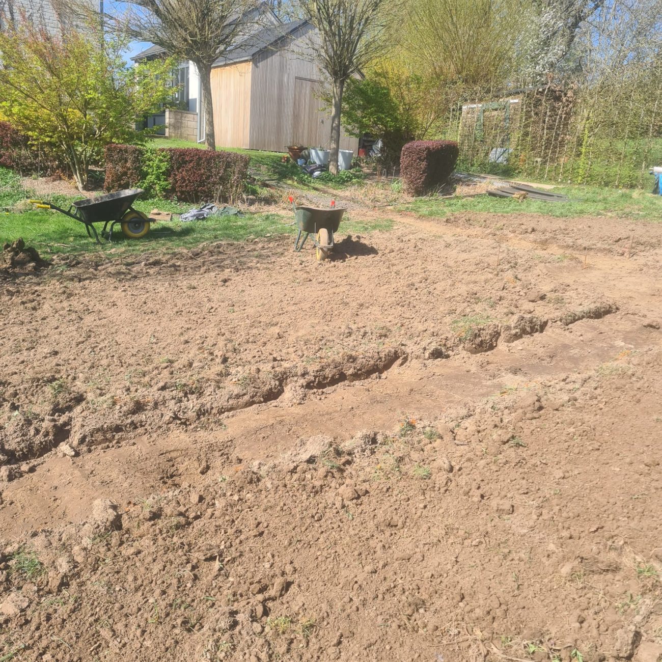 WhatsApp Image 2025-08-18 at 15.02.10 (1)