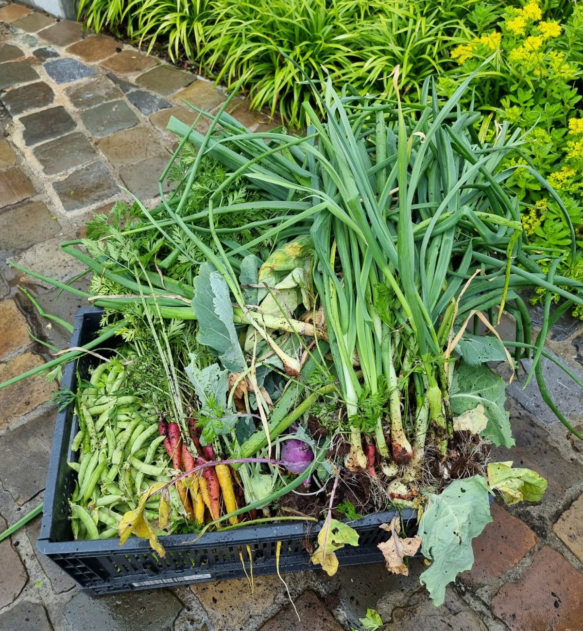 WhatsApp Image 2025-08-18 at 15.04.23