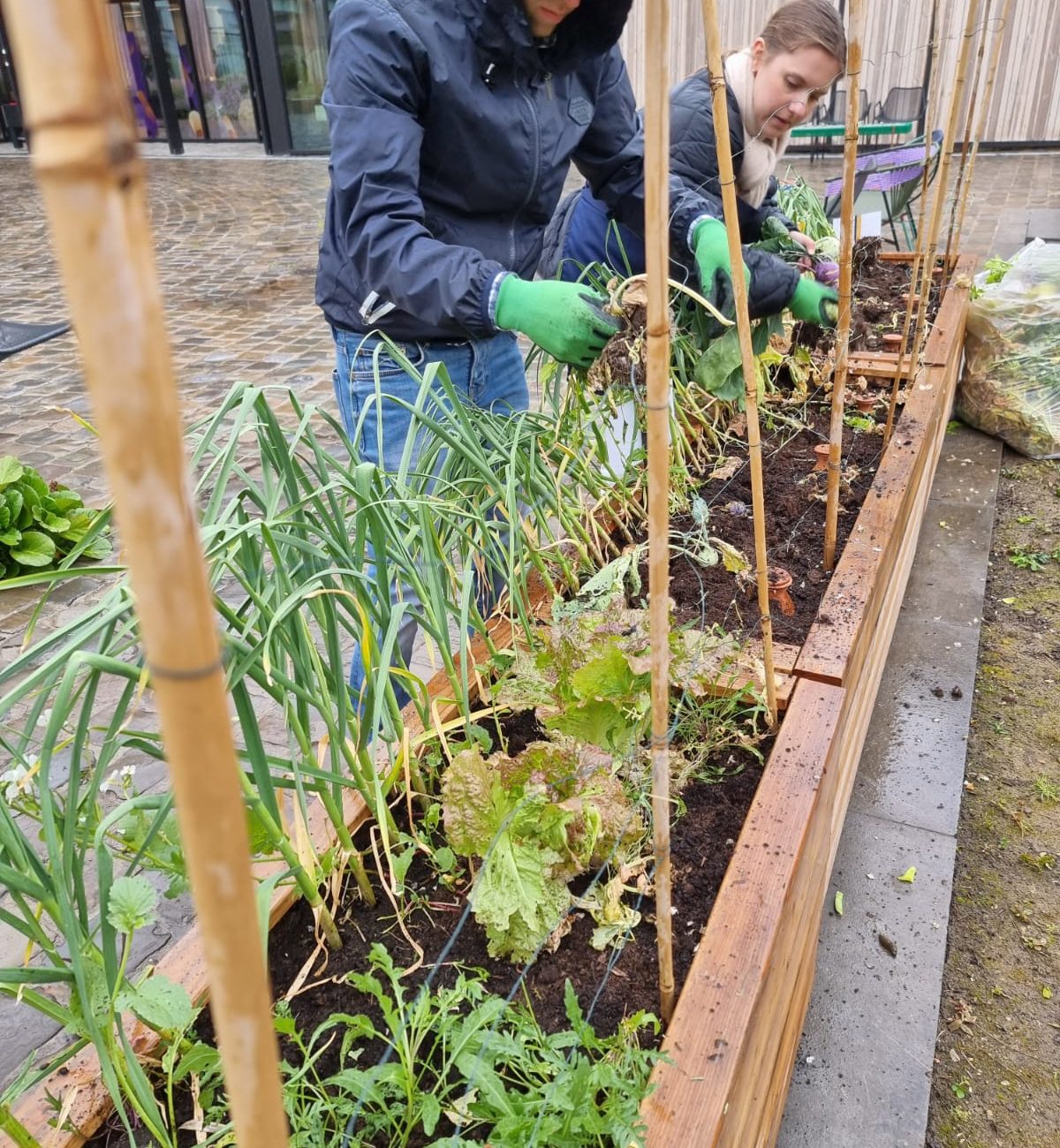 WhatsApp Image 2025-08-18 at 15.04.23 (2)