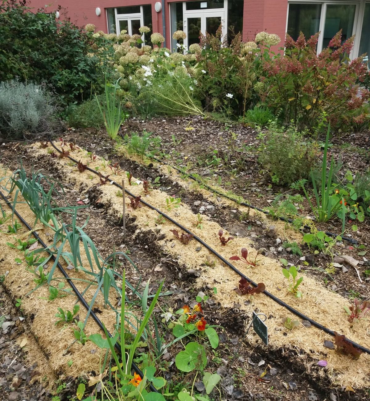 aa6c8519-b5a2-4ae0-8dd4-5a6bbfa2305f