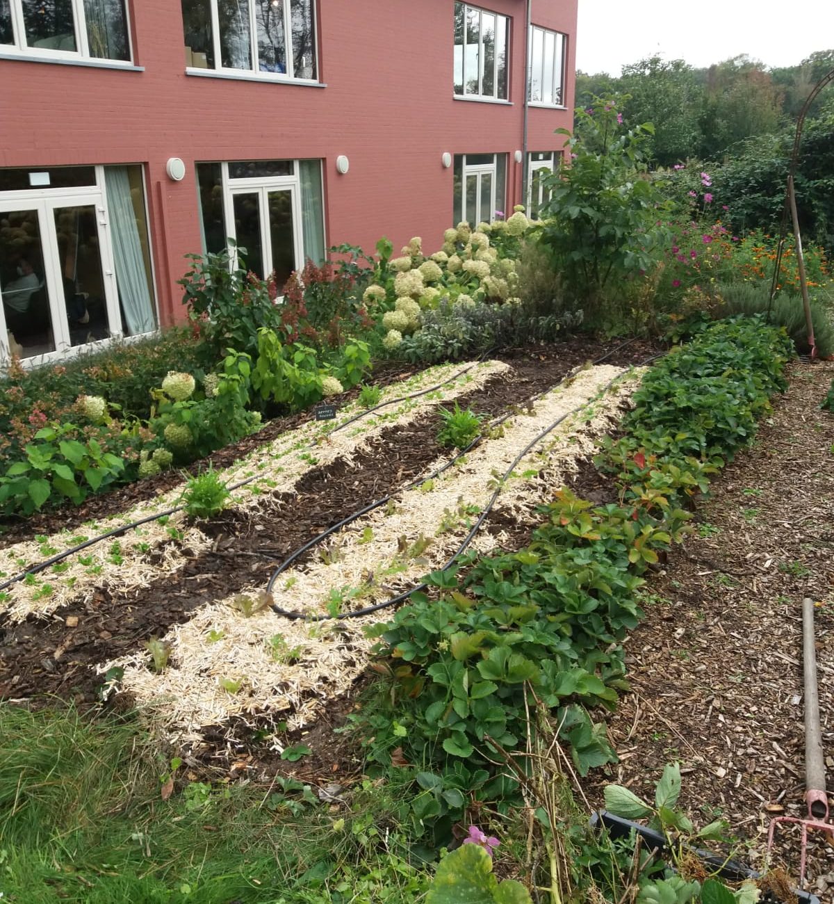 daaed963-c40c-47f1-8081-0f42f1917898