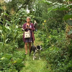 Dans les jungles étroites