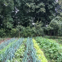 Le jardin forêt
