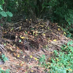 Cachette pour hérissons...