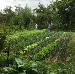 3000 m2 de culture associées