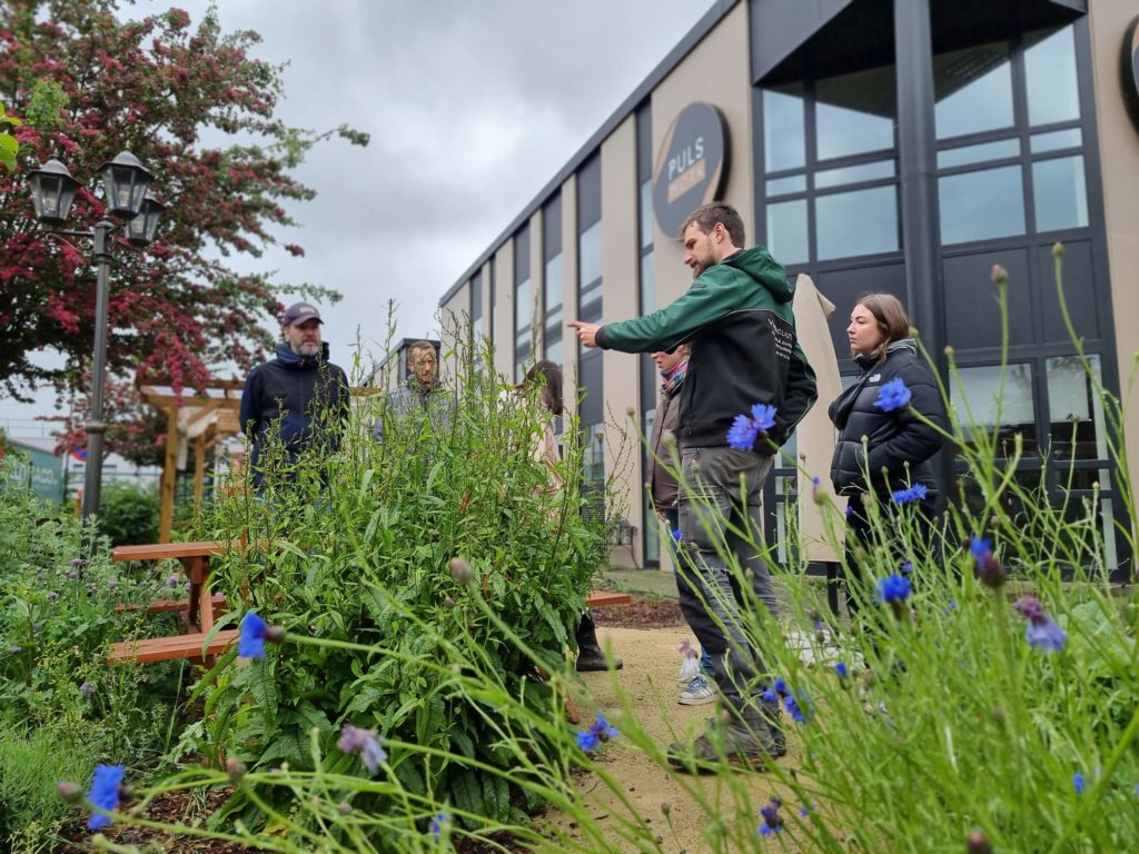 Teambuilding au potager