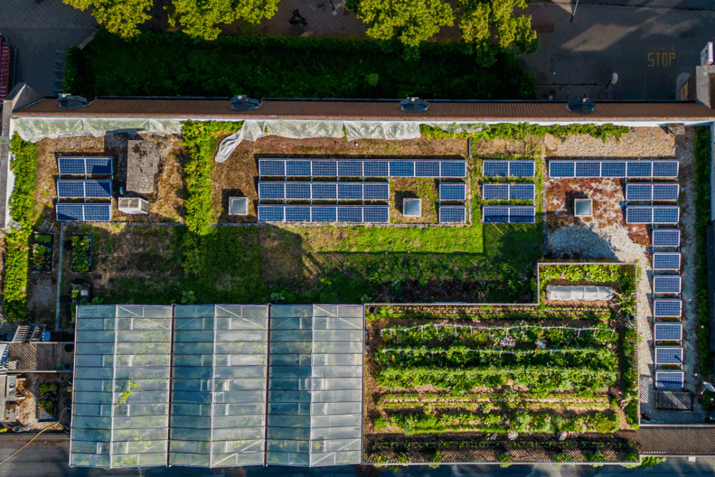 Urban Farm toiture maraîchère vue aérienne