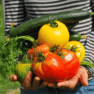 juillet au potager