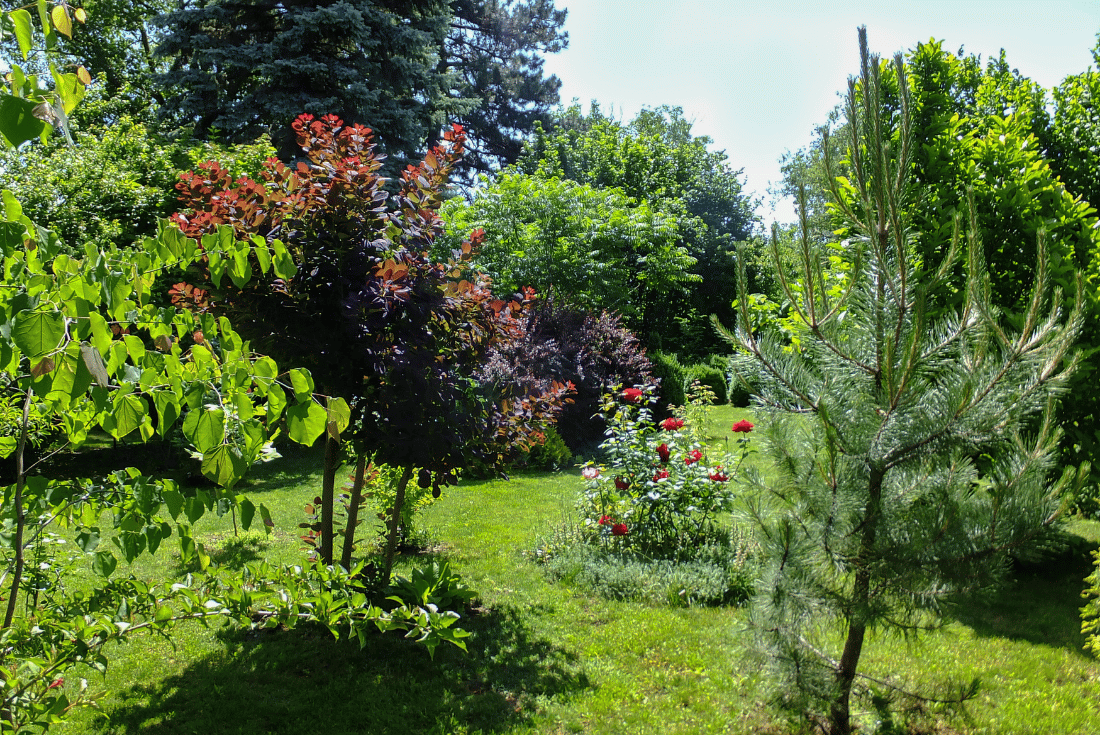 ombre au jardin nourricier